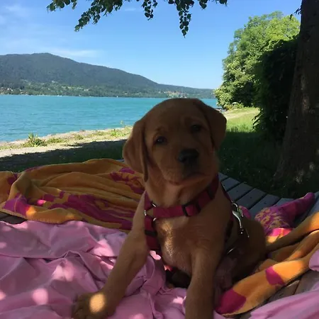 Ferienwohnung In Mit Traumhaftem See Und Bergblick Tegernsee